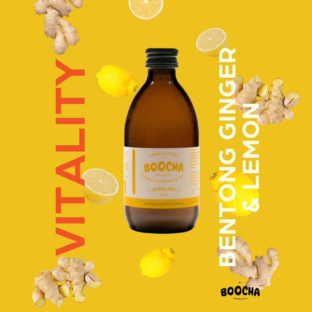 Vitality - Bentong Ginger & Lemon Kombucha