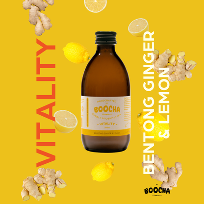 Vitality - Bentong Ginger & Lemon Kombucha