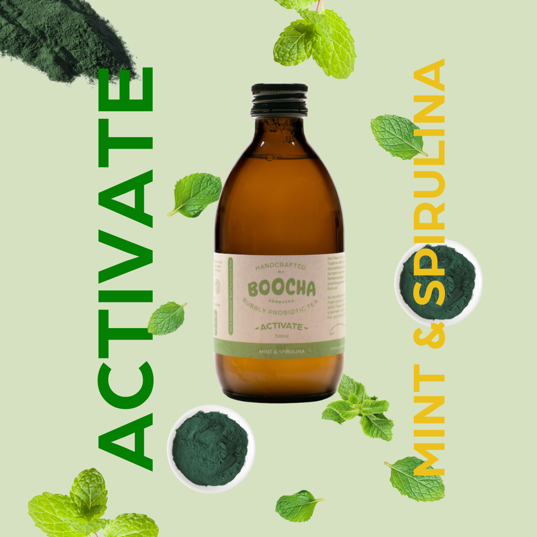 Activate - Mint & Spirulina Kombucha