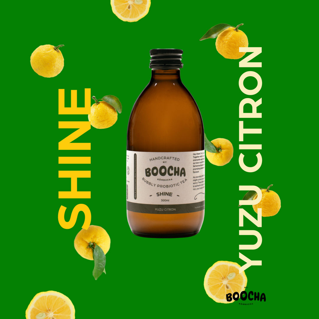 Shine - Yuzu Citron Kombucha